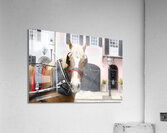 Charleston Rainbow Row Carriage and  Horse  Acrylic Print