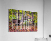 Wrong Way Home Acrylic Print