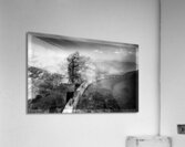 Blue Ridge Curves are the Best Acrylic Print