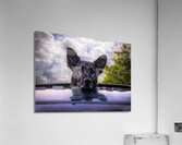 Along for the Ride Acrylic Print