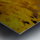 Winter Weather Fire in the Sky Metal print