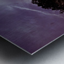 Peeking Through Trees Metal print