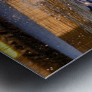 Surprise Porpoise Heron Attack Metal print