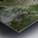 Old City Cemetery Angel Metal print