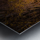 Old City Cemetery Bird House Metal print