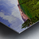 Canadian Rocky Mountain Indian Paintbrush Metal print