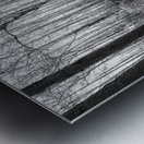 Meandering in the Frances Marion National Forest Metal print