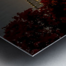 Chattanooga River Night Reflections Metal print