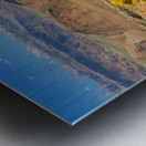 The Straw Flower Bouquet in the Tahoe Desert Metal print