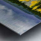 Teton Red Umbrella Metal print