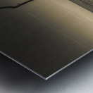 Hunting Island Beach Driftwood Shadows Metal print