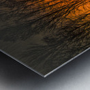 Georgia Forest Orange Sunset Silhouettes Metal print