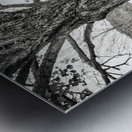 Homestead Sam Stead Antique Store  Metal print