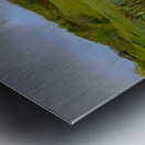 Hot Springs Virginia Farm Cabin Metal print