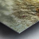 Blue Ridge Parkway Overlook Autumn Sunset Metal print