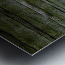 Into the Woods Muir Quote Metal print