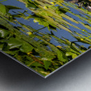 Turtle Row Spa Line Up Metal print