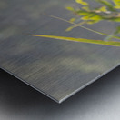 Tri Colored Heron with Backlighting Metal print