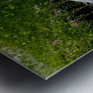 The Heron Strut Metal print