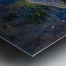 Painted Turtle Basking in the Sun Metal print