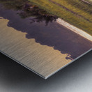 Hilton Head Wetlands Marsh Metal print