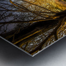 Old City Civil War Cemetery Christmas Wreaths Metal print