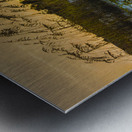 Autumn Sunset Dunes in Hilton Head Metal print