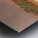 On the Road to Jamestown Metal print