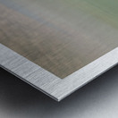 Pensacola Beach  Pelican Pilings Triptych Metal print