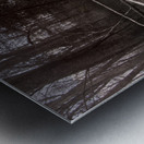 Booker T Washington Monument Barn and Buggy Metal print