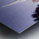 Waccamaw River Church Metal print