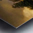 South Carolina St.Stephens Episcopal Church Metal print