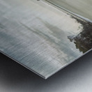 Beach Tree Relics Metal print