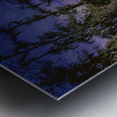 Winter Wanderings at Lake Martin Louisiana Metal print