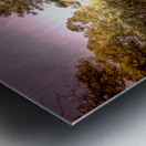 Story of an Old Francis Marion National Forest Church Metal print