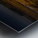 South Carolina  Marsh Heron Sunrise Metal print