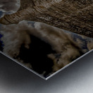 St. Augustine Fortress Metal print