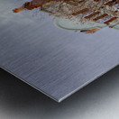 Charleston Rainbow Row Metal print