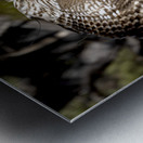 Avian Center for Birds of Prey South Carolina Metal print