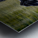 Anhinga Sunning My Wings Metal print