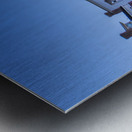 Washington and Lee University Panorama Metal print