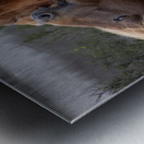  Nip of the Day Metal print