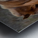 Paired Together Metal print