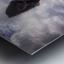 Along for the Ride Metal print