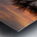 Every Day a Miracle Metal print