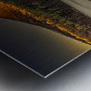 Say Goodnight World Metal print