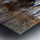 The Golden Triumvirate Metal print