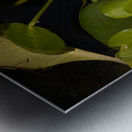 In Remembrance of Summer Metal print