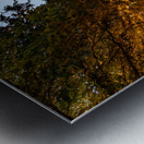 Rothenburg Old Building Metal print