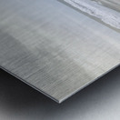 Pawleys Island Beach Pier and Fence Metal print